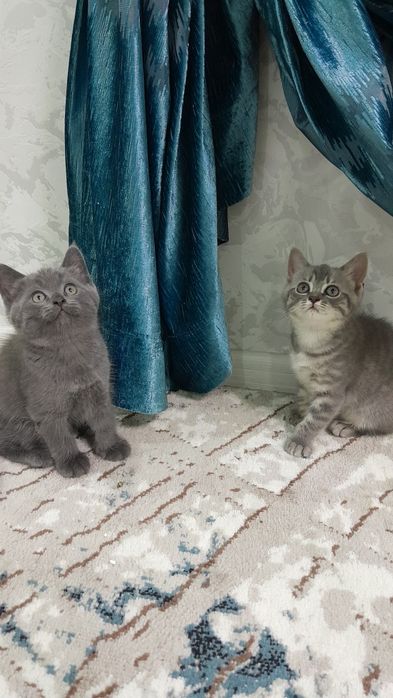 Полученна из правильной вязки
