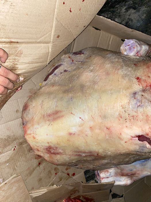 Соғым туша крс !!