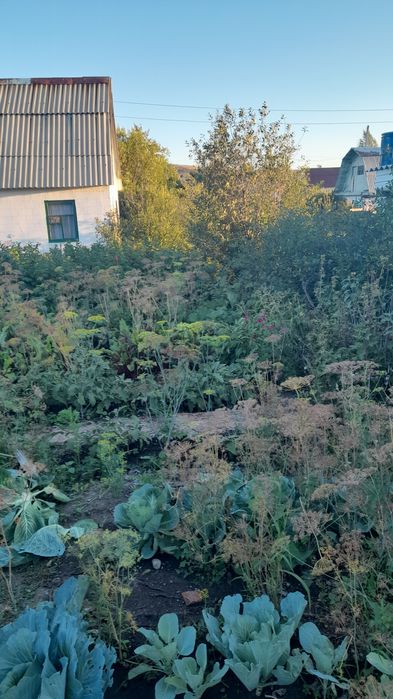 Продам дачу с/о Родник