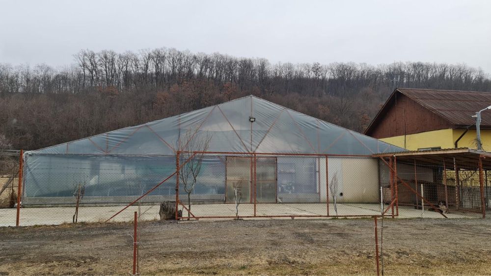 Afacere la cheie - hala productie- sera- birou