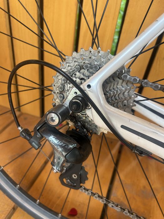 Cirsiera carbon Boardman