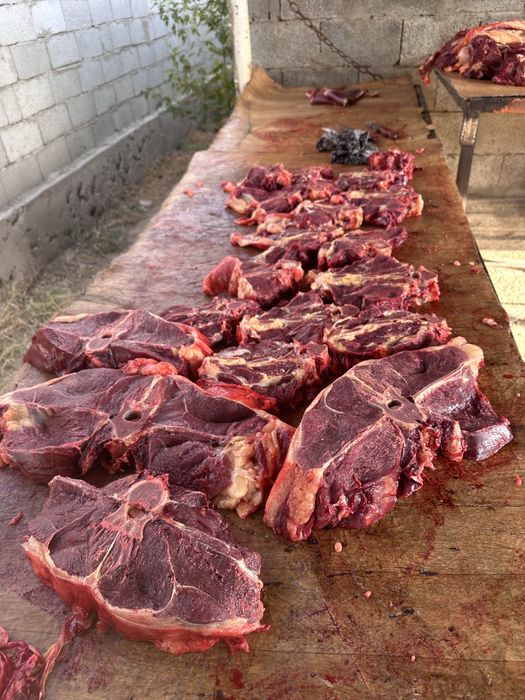 Жылқы еті/Соғым/Конина