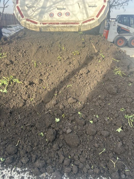 nisip pietres  margarita pamant vegetal la saci