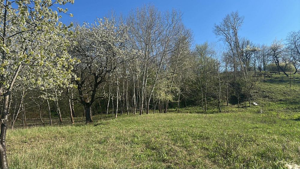 teren cu utilitati panoramic