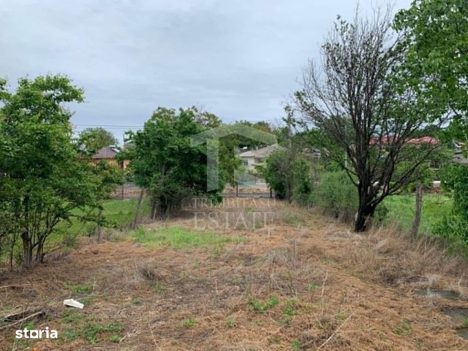 Teren intravilan 2562mp Loc 23 August | Ideal locuiță sau casă vacanță