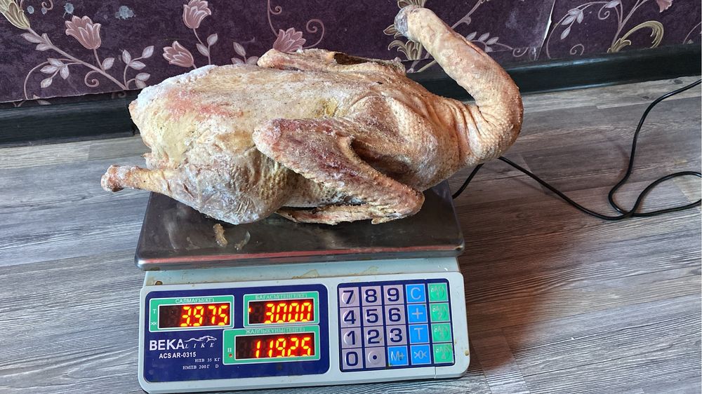 домашний  гусь халяль