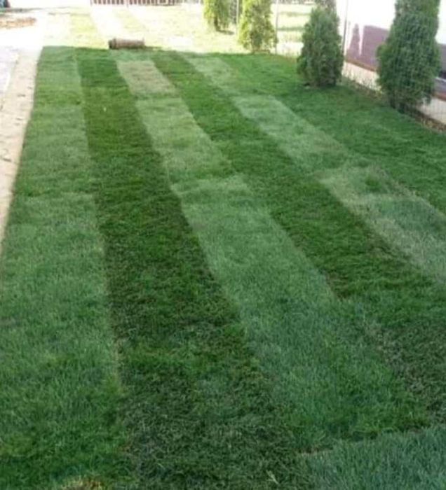 Gazon Rulou sisteme de Irigare