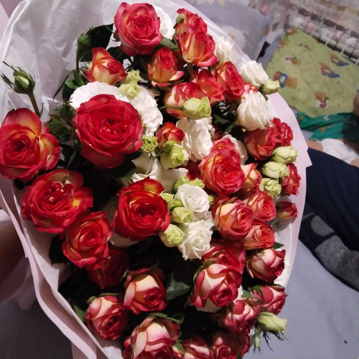 Свежие цветы розы