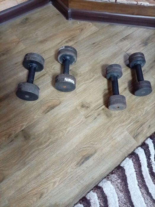 Штанги разных весов