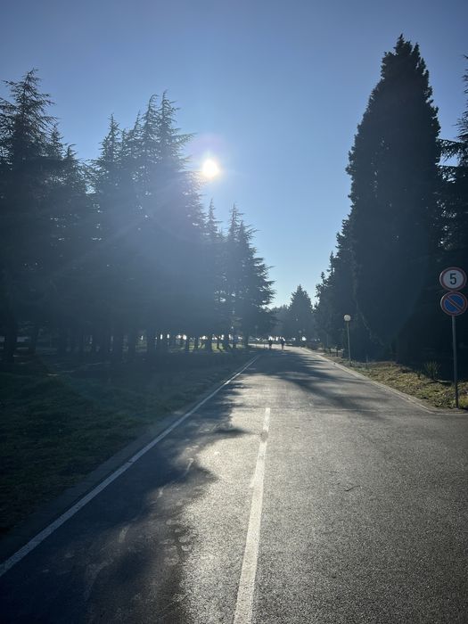 Дава се под наем Двустаен апартамент в к.к. Дюни - 55 кв.м за 331.5 € - Снимка #15