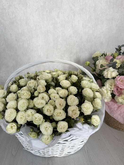 Продам цветы свежие