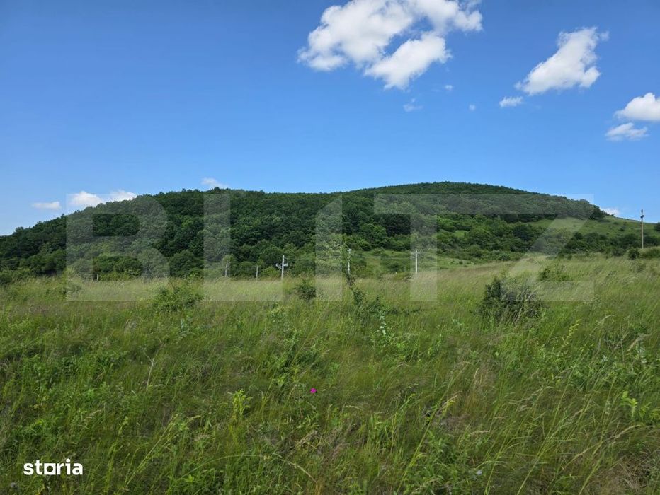 Teren potrivit pentru investitie in zona complexului Domeniul Regilor.