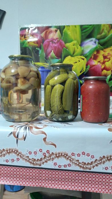 Компот из огурцов