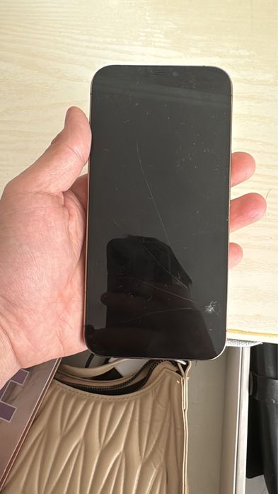 Iphone 12 Pro Max