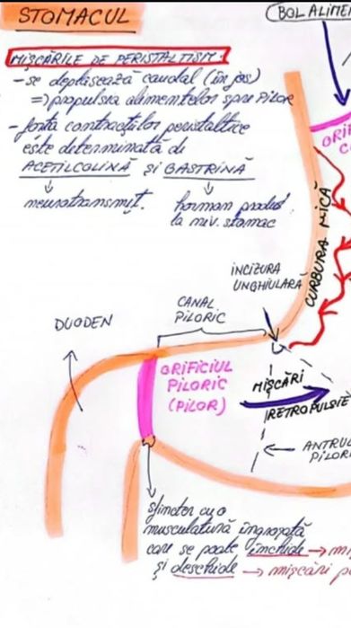 Meditații biologie bac