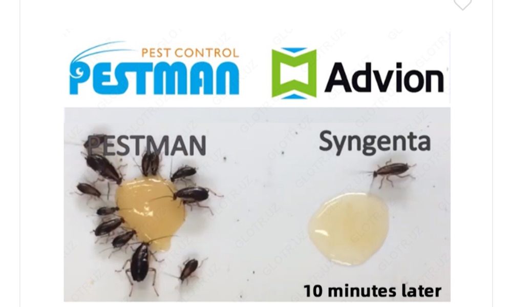 Tarakan dori sifati alo, Klopa dori Kaltakesak dori Chumoli dori