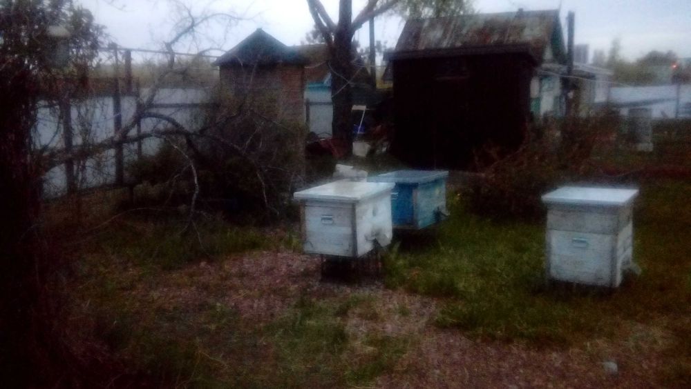 Дача  общество Кировец 1 за горводоканалом