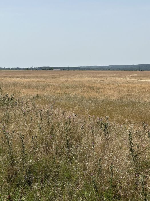 Teren extravilan Varati Dolj Viitor Intravilan