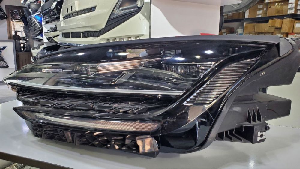 Byd Champion oldi fara