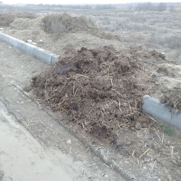 Шөп  пен  малдың тезегі