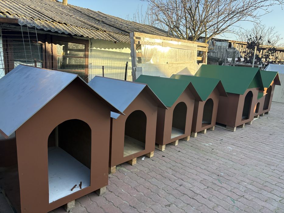 Cusca pentru caine talie Mare (uriasa)