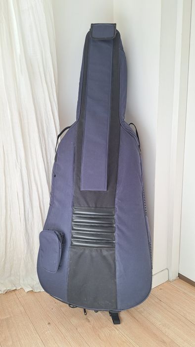Violoncel 4/4 Reghin