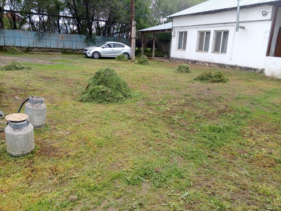 Покос травы триммером штиль