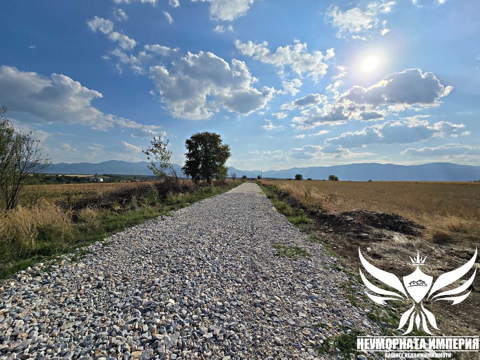 Продавам земя 24.5 декара засята със сливови дръвчета в с.Нови Извор