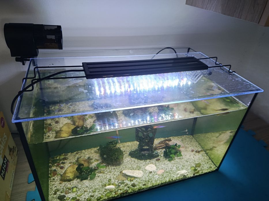 Acvariu 55L complet dotat hranitor automat