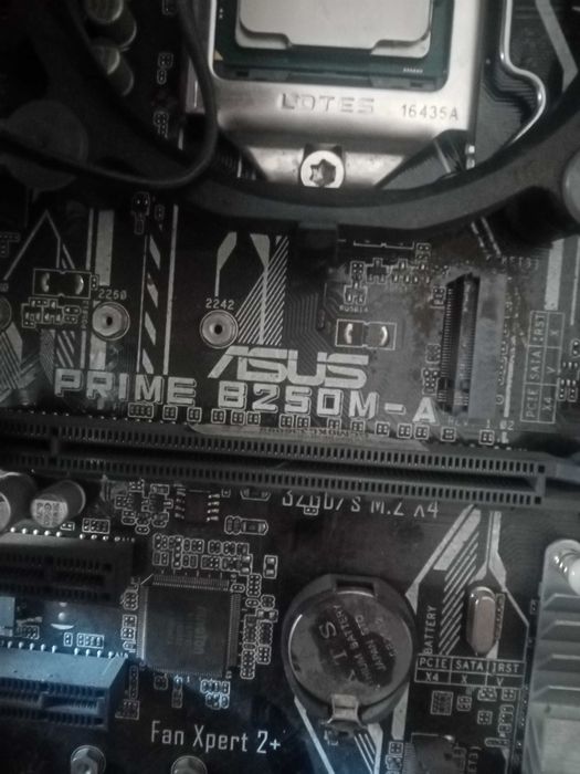 Продаю мат. плату с процессором  asus b250m-a.