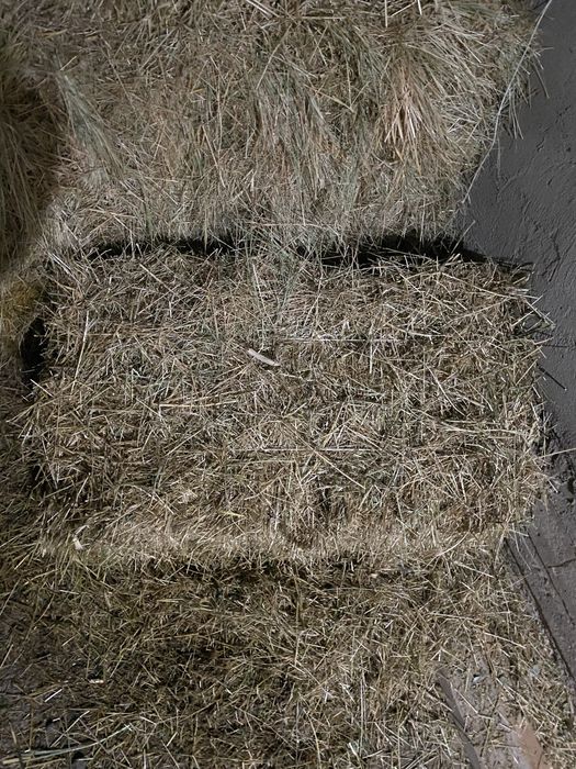 Қырдың шөбі гарантия