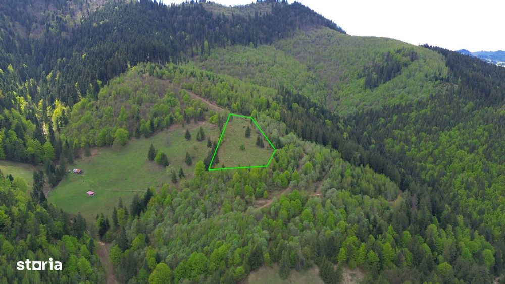 Teren izolat fără vecini, inconjurat de pădure, 1.02 ha