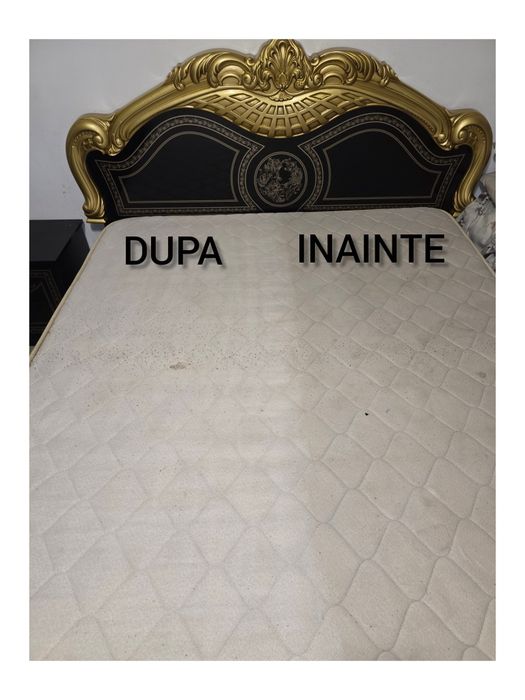 Curatare canapele/covoare/auto