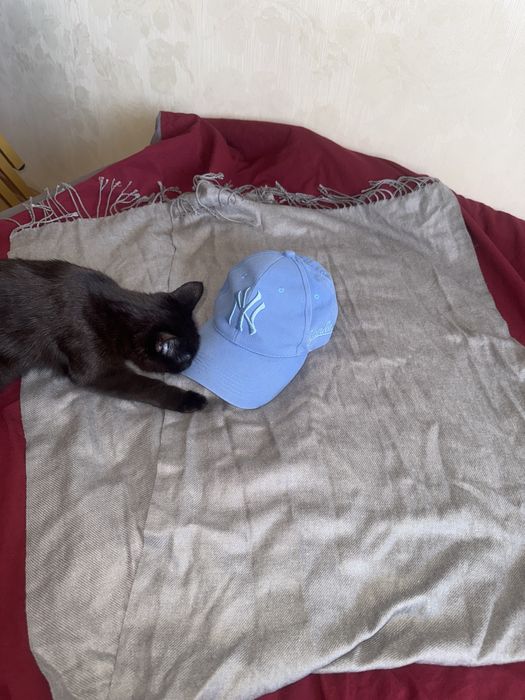 Продаю кепку голубую с серым шарфом и шапку