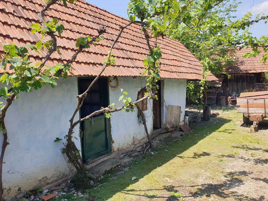 Casă cu grădină de vânzare