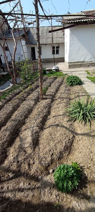 СРОЧНО ПРОДАЕТСЯ участок в Кибрае