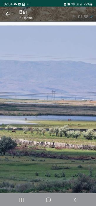 Продаётся фазенда