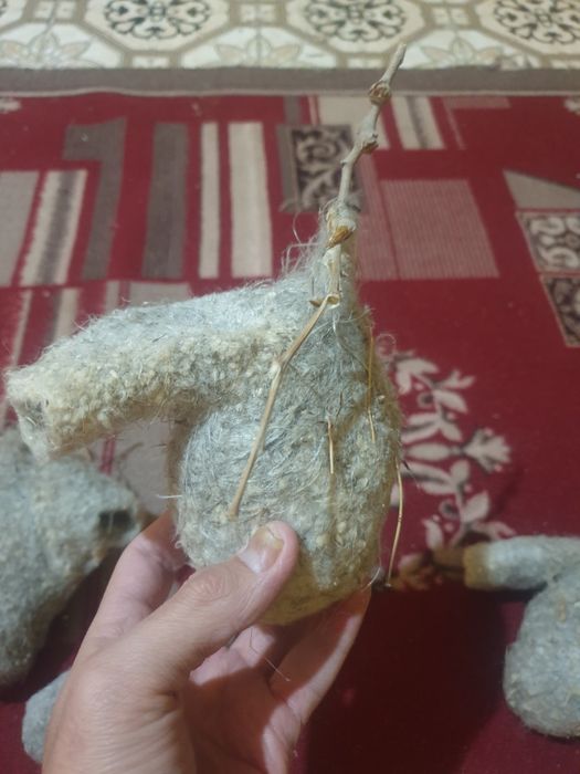 Құрқылтай  ұясы сатылады