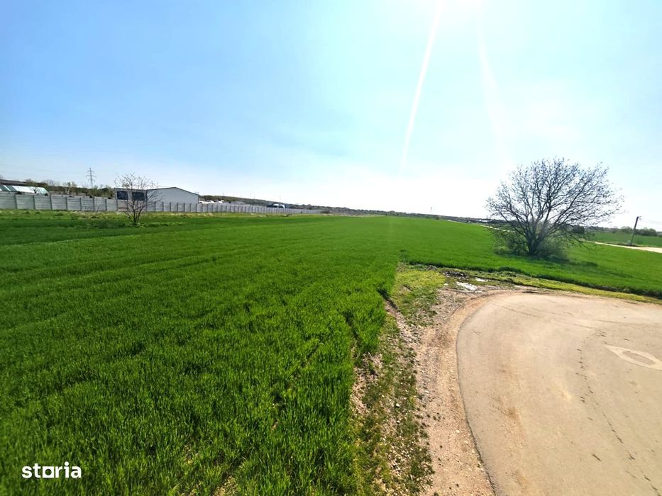 Teren intravilan | Dragomiresti Vale | Sat Zurbaua IF | INVESTITIE