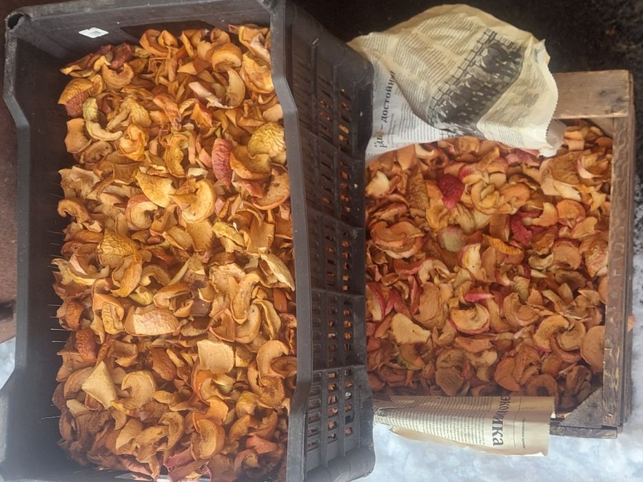 сухофрукты находимся Есике