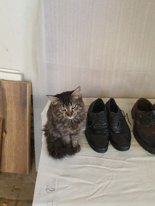 Туфли Обувь Мужская 42р