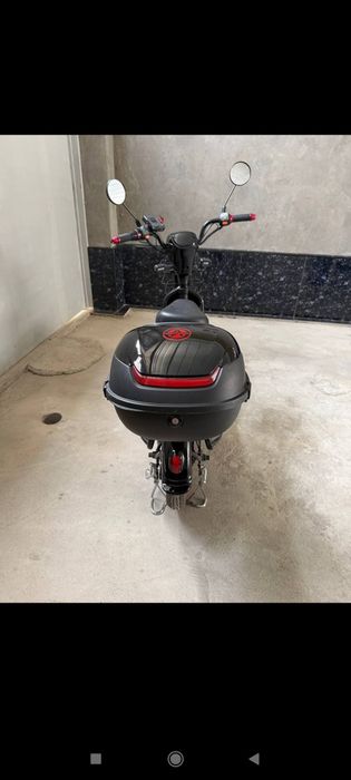 14 choʻntak modeli