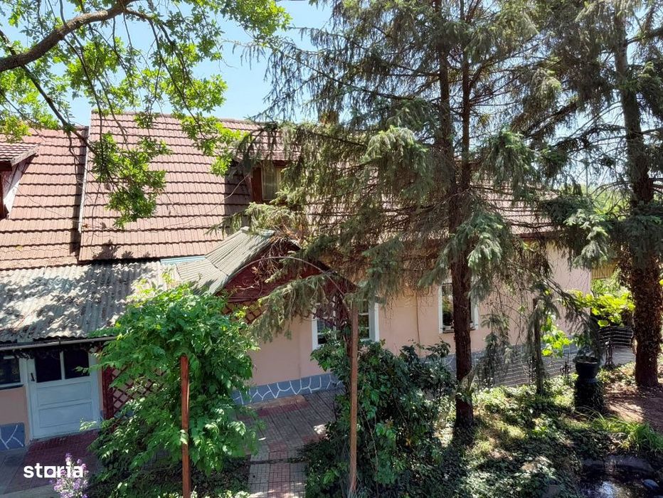 Casa de vanzare cu teren generos de 6.732 mp la E671 Les, Bihor