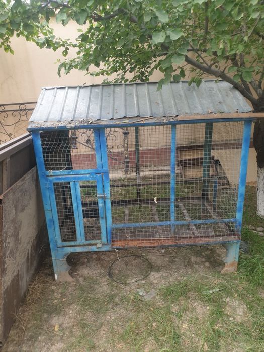 Tovuqlar uchun Katak