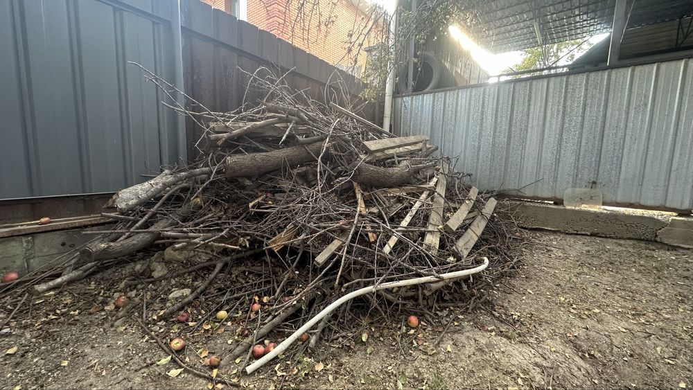 Дрова, дерево, бесплатно