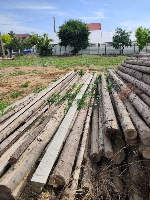 Căpriori de brad