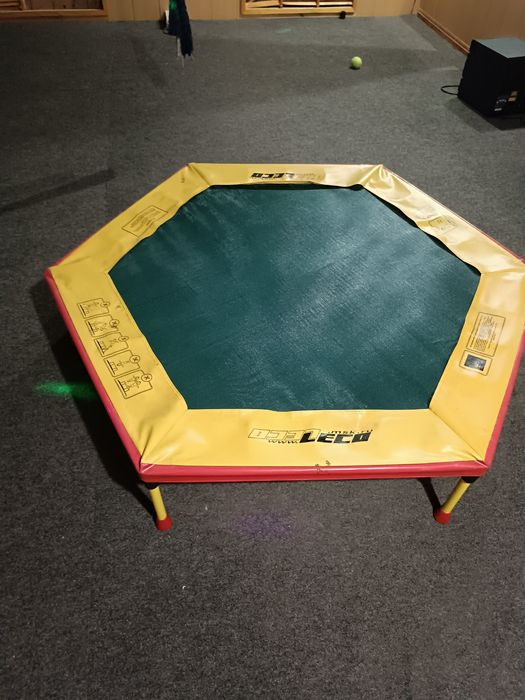 Продам батут до 90 килограмм