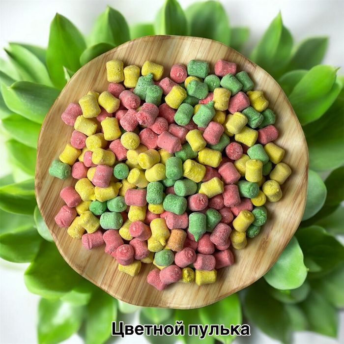 Курт оптом от производителя