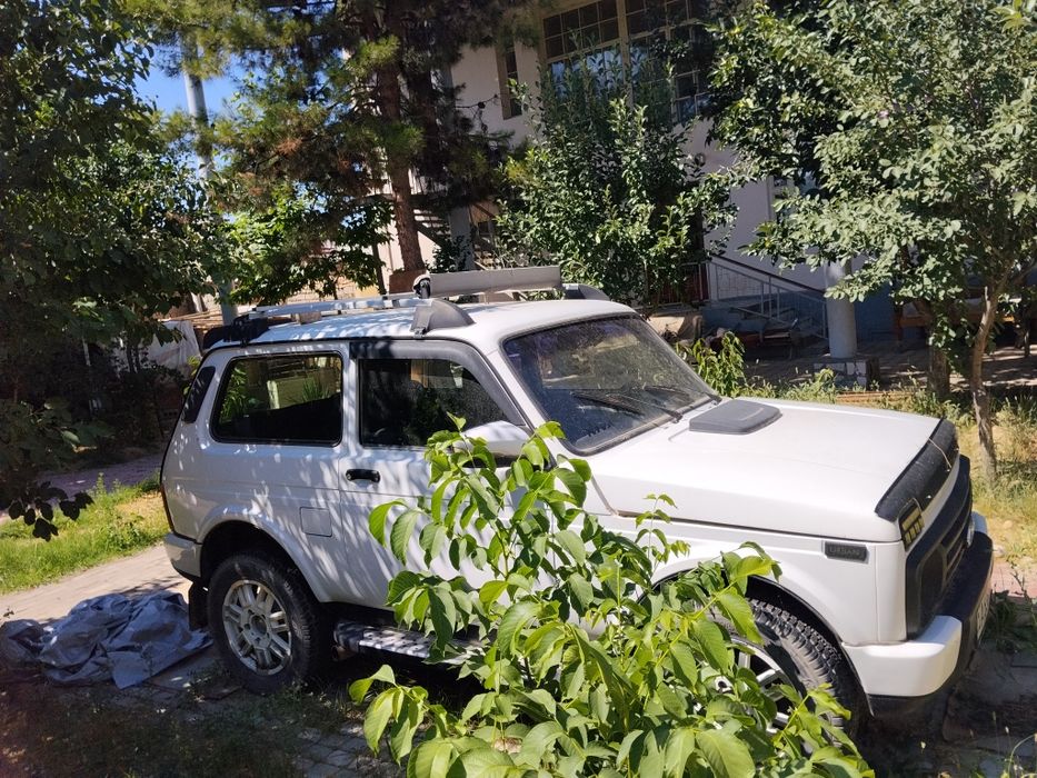 Niva sotiladi tel qilurasla