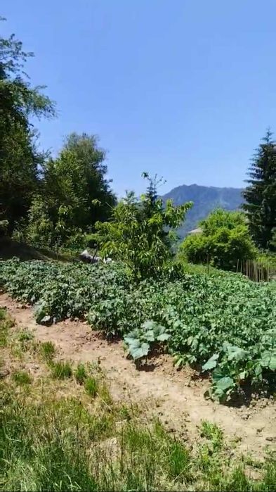 Продава се Парцел в Смолян, в.з. Смолян - 1000 кв.м за 60 €/кв.м - Снимка #1